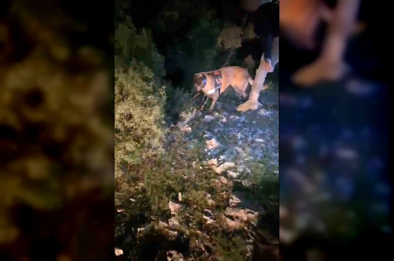 Muğla’da piyasa değeri 4 milyon TL olan uyuşturucu ele geçirildi 