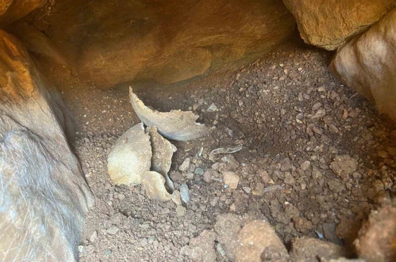 Muğla’da su deposu çalışmalarında tarihi eserler bulundu, alan koruma altına alındı