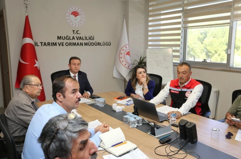 Muğla’da zeytin rekolte tahmini toplantısı yapıldı 