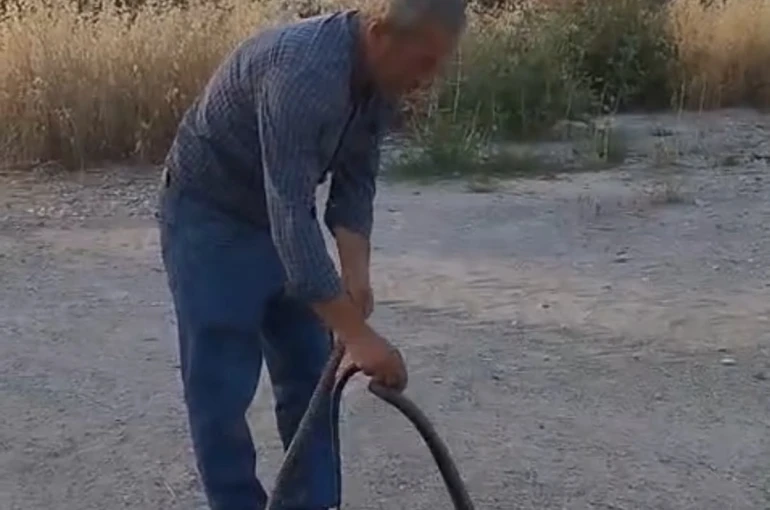 Muhtar, evlere giren yılanları eliyle yakalayıp doğaya bırakıyor