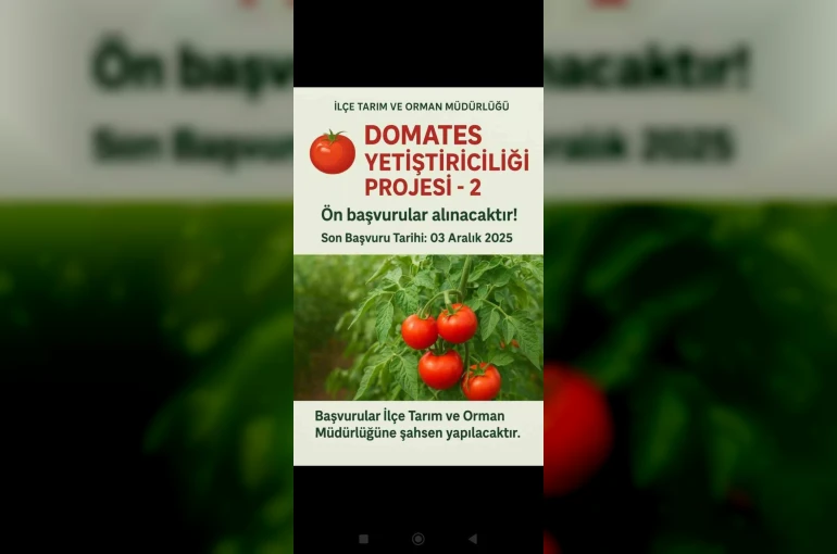 Muradiye’de "Domates Yetiştiriciliği" projesi için ön başvurular başladı 