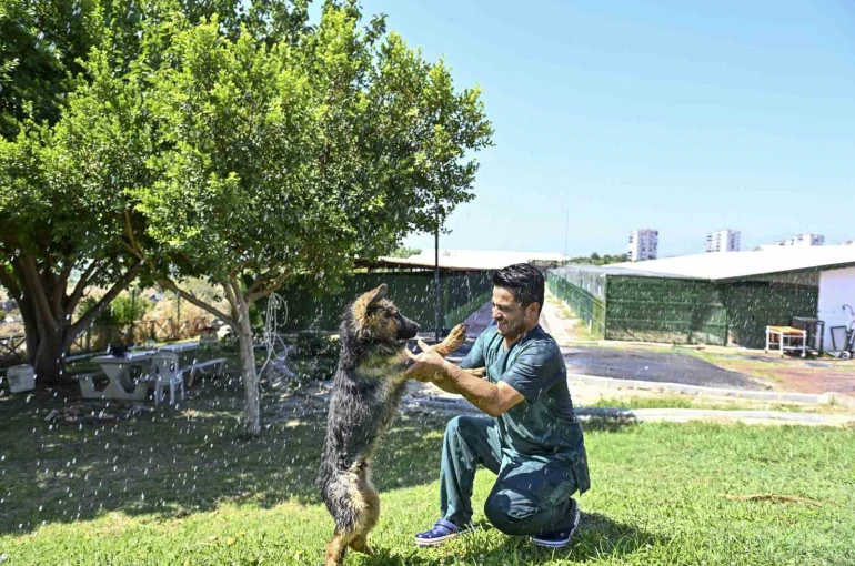 Muratpaşa’dan patili dostlara serin dokunuş