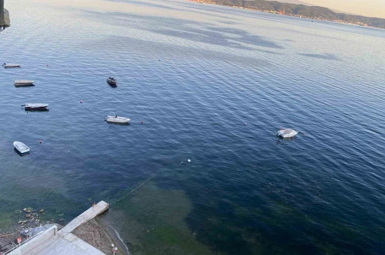Müsilajın ardından Gemlik Körfezi’nde sevindiren görüntüler