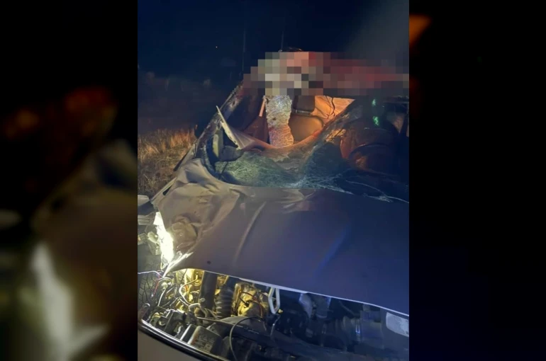 Muş’ta hafif ticari araç ata çarptı: 2 yaralı