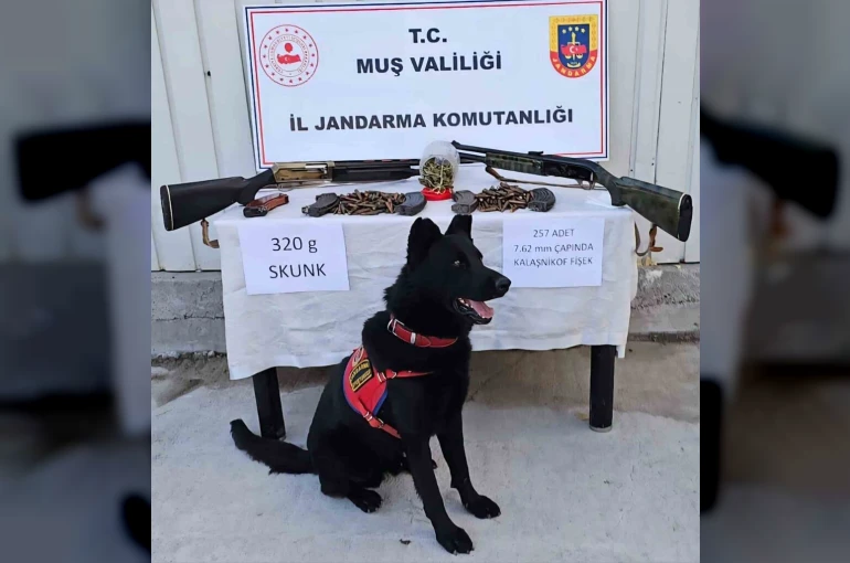 Muş’ta jandarmadan uyuşturucu ve silah operasyonu
