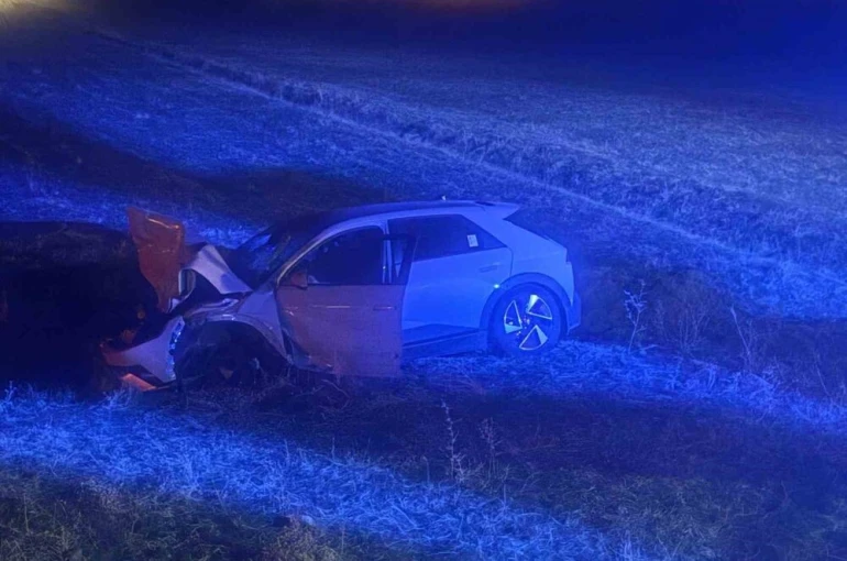 Muş’ta otomobil yola çıkan ineğe çarptı