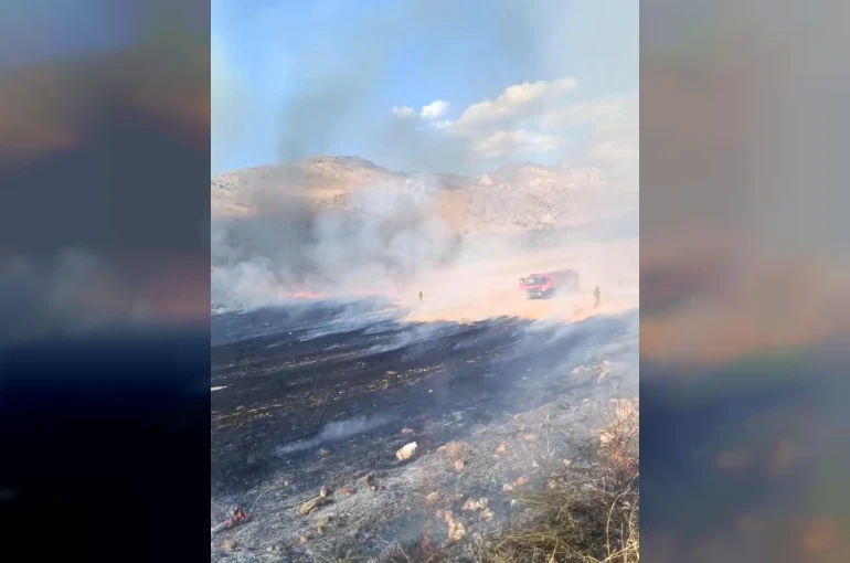 Nallıhan’da otluk alanda çıkan yangın söndürüldü