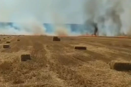 Nallıhan’da tarla yangını