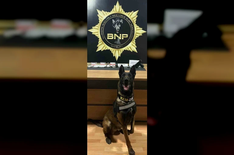 Narkotik köpeği ‘Pablo’ Bayburt’ta uyuşturucu tacirlerine geçit vermiyor