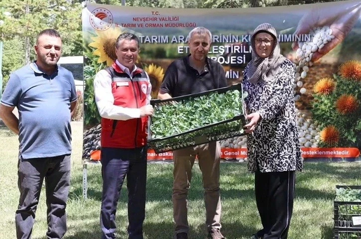 Nevşehir’de üreticilere yüzde 75 hibeli karnabahar ve brokoli fidesi dağıtıldı