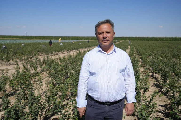 Niğde, elma fidanı üretiminde Türkiye’nin öncüleri arasında