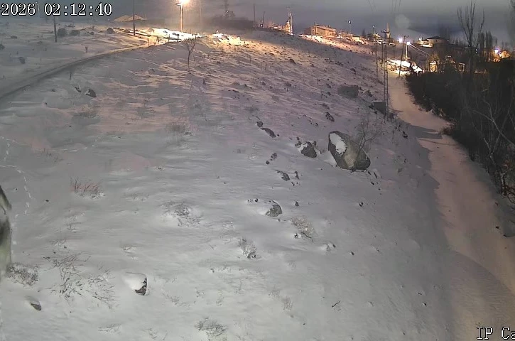 Niğde’de aç kalan kurtlar köye indi