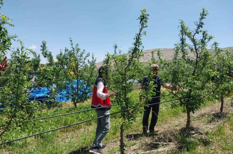 Niğde’de dolu ve sağanak tarım arazilerine zarar verdi