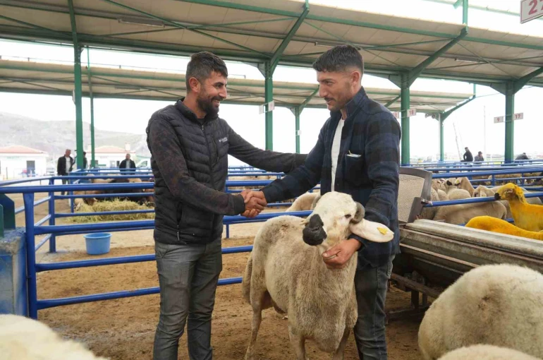 Niğde’de hayvan pazarında bayram bereketi yaşanıyor