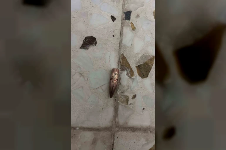 Nusaybin’de yorgun mermiler ev, araç ve iş yerlerine isabet etti