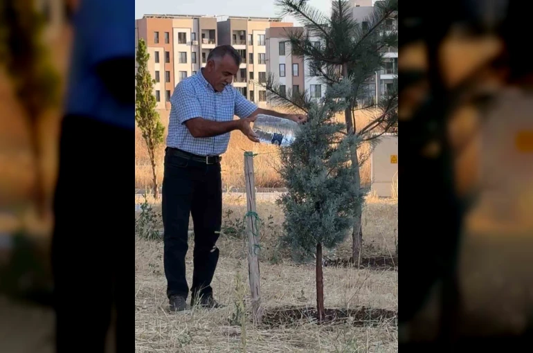 Oğlaklı Mahallesi hizmet bekliyor