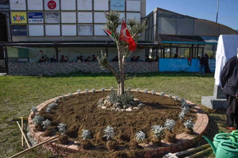 OMÜ’de Filistin için "zeytin ağacı anıtı" dikildi