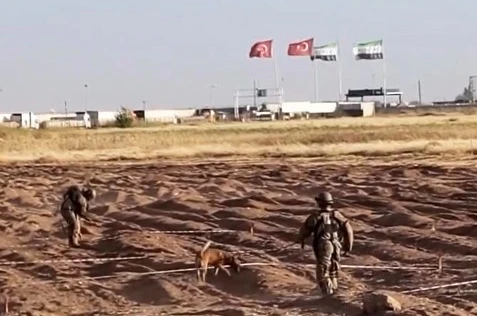Öncüpınar Sınır Hattı’nda mayın temizleme çalışmaları sürüyor