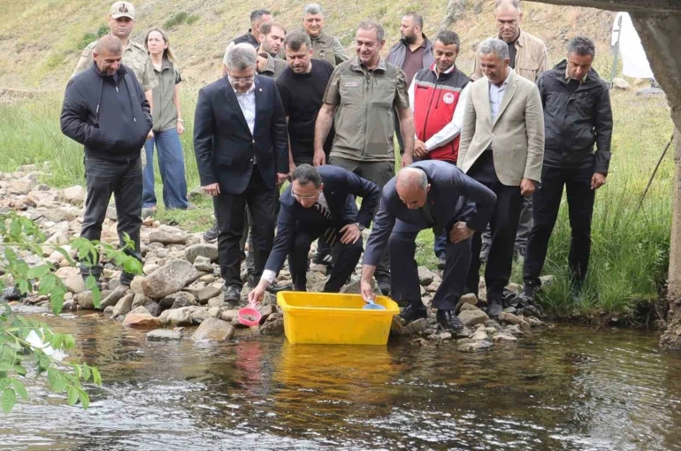 Ordu’da 35 bin doğal alabalık dereye bırakıldı
