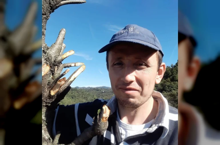 Ordu’da ağaç keserken düşen kişi hayatını kaybetti