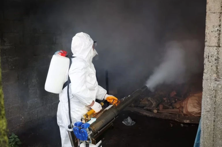 Ordu’da kahverengi kokarcaya karşı 300 binden fazla kışlak ilaçlanıyor