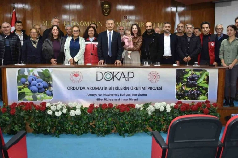 Ordu’da maviyemiş ve aronya üretim alanı 180 dekara ulaşıyor