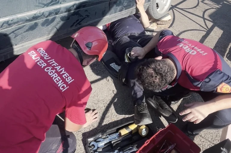 Ordu’da otomobilin egzoz muhafazasına sıkışan yavru kedi kurtarıldı