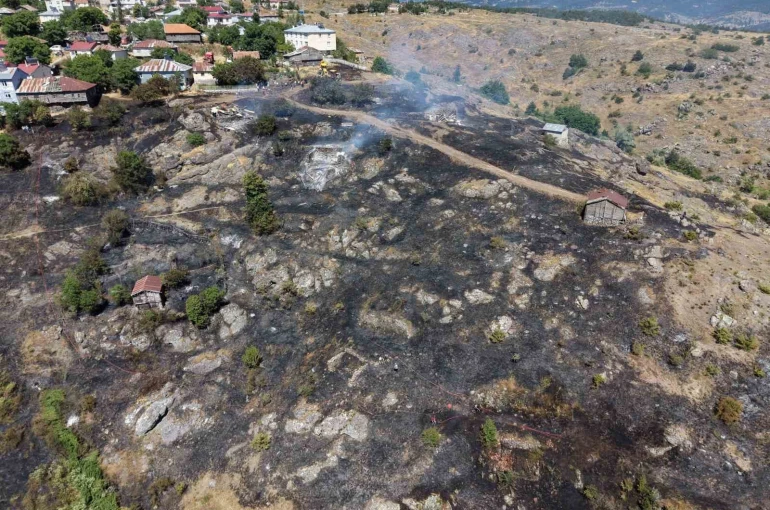 Ordu’da tarım arazisinde çıkan yangında 5 samanlık yandı