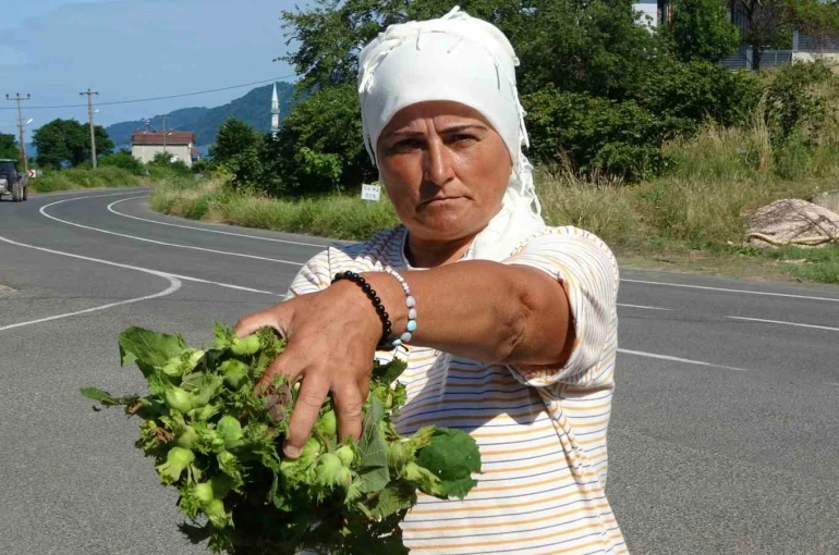 Ordu’da taze fındık tezgahlarda: Kilosu 200 lira 