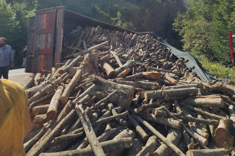 Ordu’da tomruk kamyonu devrildi: 21 ton tomruk yola saçıldı