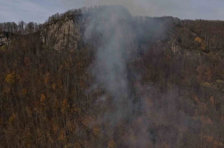 Ordu’daki ormanlık alandaki yangın kontrol altına alındı