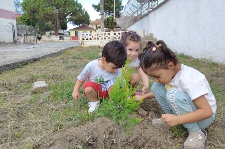 Ordulu miniklerden fidan dikim etkinliği