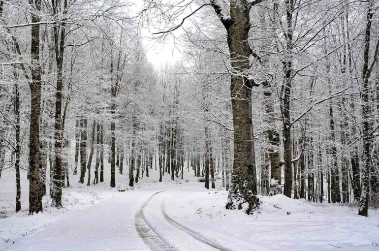 Ordu’nun 15 ilçesinde eğitime kar engeli