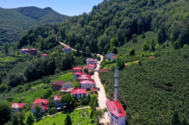 Ordu’nun kırsalında beton yol çalışmaları