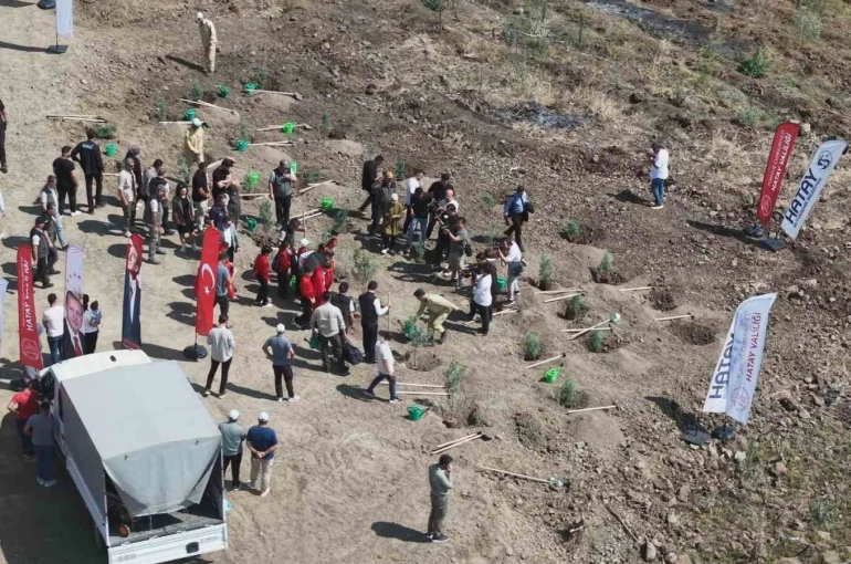 Orman yangınından zarar gören alana fidan ekildi