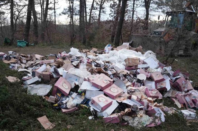 Ormanı çöplüğü çevirmişler