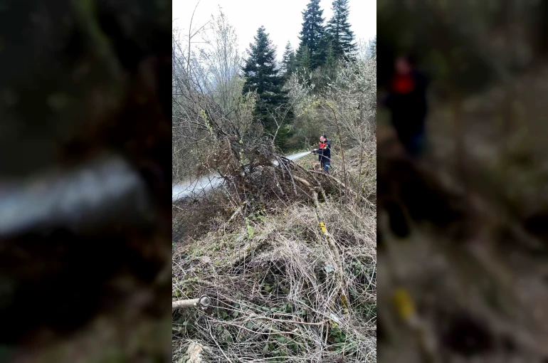 Ormanlık alanda çıkan yangın büyümeden söndürüldü