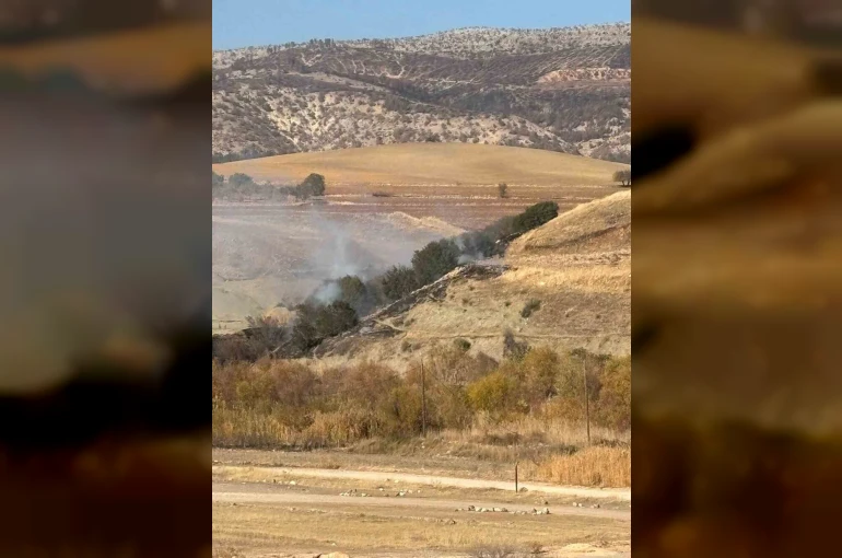 Ormanlık alanda korkutan yangın