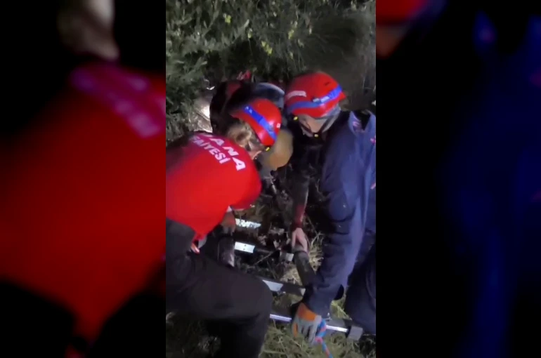 Ormanlık alanda mahsur kalan kişi ekiplerin çalışmasıyla kurtarıldı