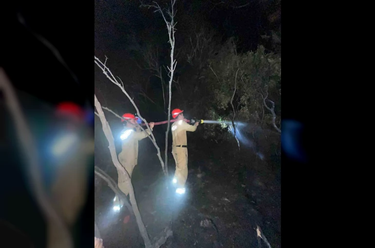 Ormanlık alandaki yangın büyümeden söndürüldü