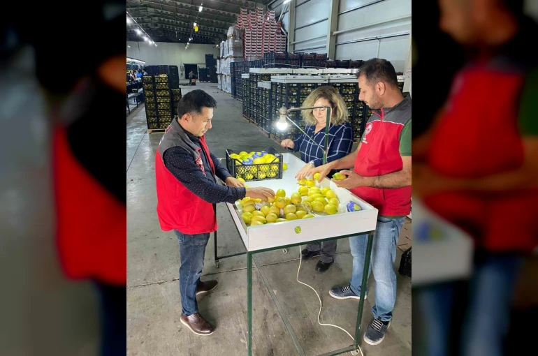 Ortaca’da ihracata giden ürünlere onay