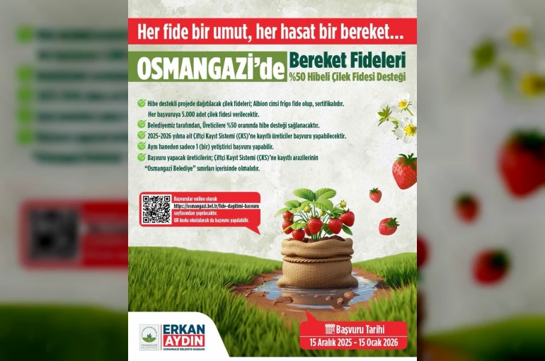 Osmangazi Belediyesi yüzde 50 hibeli çilek fidesi dağıtacak