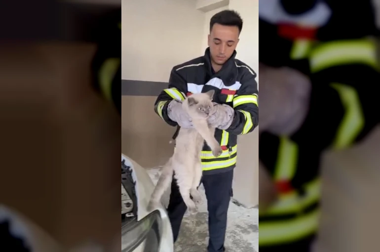 Osmaniye’de araç motoruna sıkışan kedi kurtarıldı