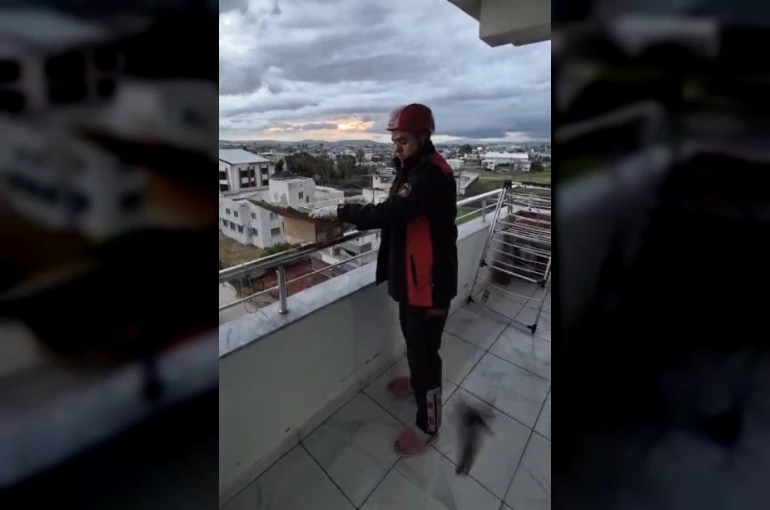 Osmaniye’de aspiratör borusuna giren 3 kırlangıç kurtarıldı