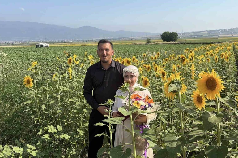 Osmaniye’de ayçiçeği tarlaları yeni evli çiftlerin gözdesi oldu