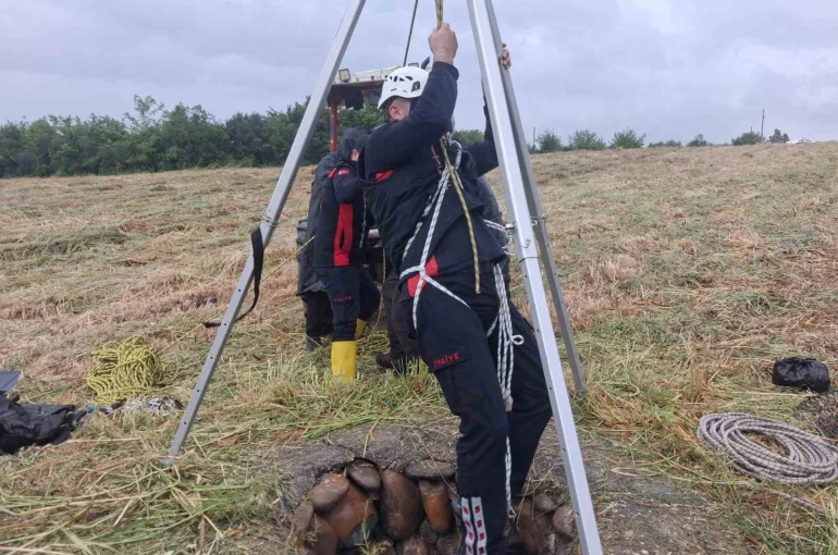 Osmaniye’de içme suyu kuyusuna düşen tilki kurtarıldı