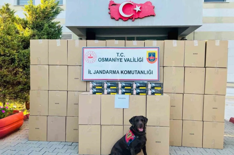 Osmaniye’de kaçak makaron operasyonunda 1 tutuklama