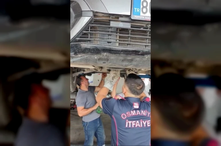 Osmaniye’de otomobilin motoruna sıkışan yavru kedi kurtarıldı