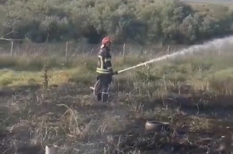 Osmaniye’de tankerin lastiklerinden çıkan yangın zeytin bahçesine sıçradı