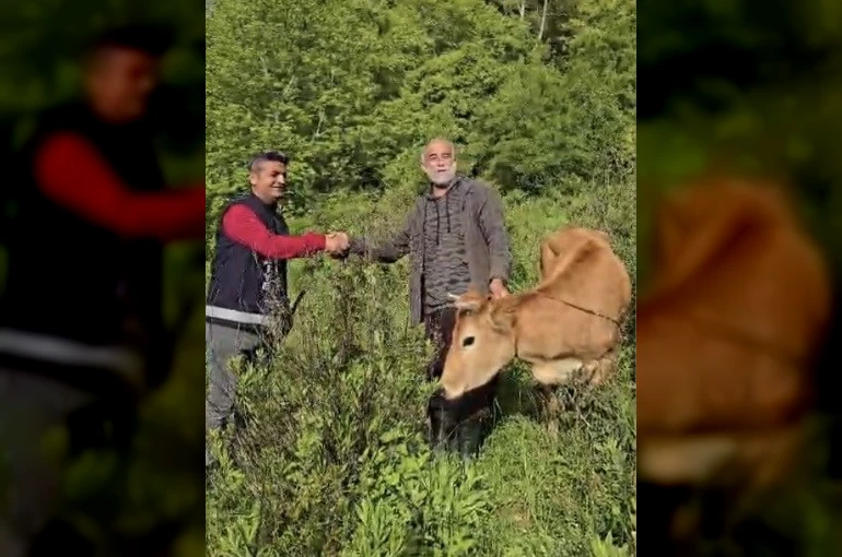 Osmaniye’de uçuruma düşen düve 5 saatlik operasyonla kurtarıldı 